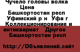 Чучело головы волка › Цена ­ 15 000 - Башкортостан респ., Уфимский р-н, Уфа г. Коллекционирование и антиквариат » Другое   . Башкортостан респ.